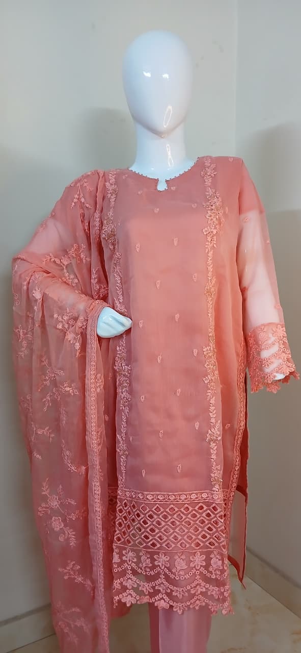Self-Embroidered Chiffon Stitched 3-Piece Suit (TSEP4)