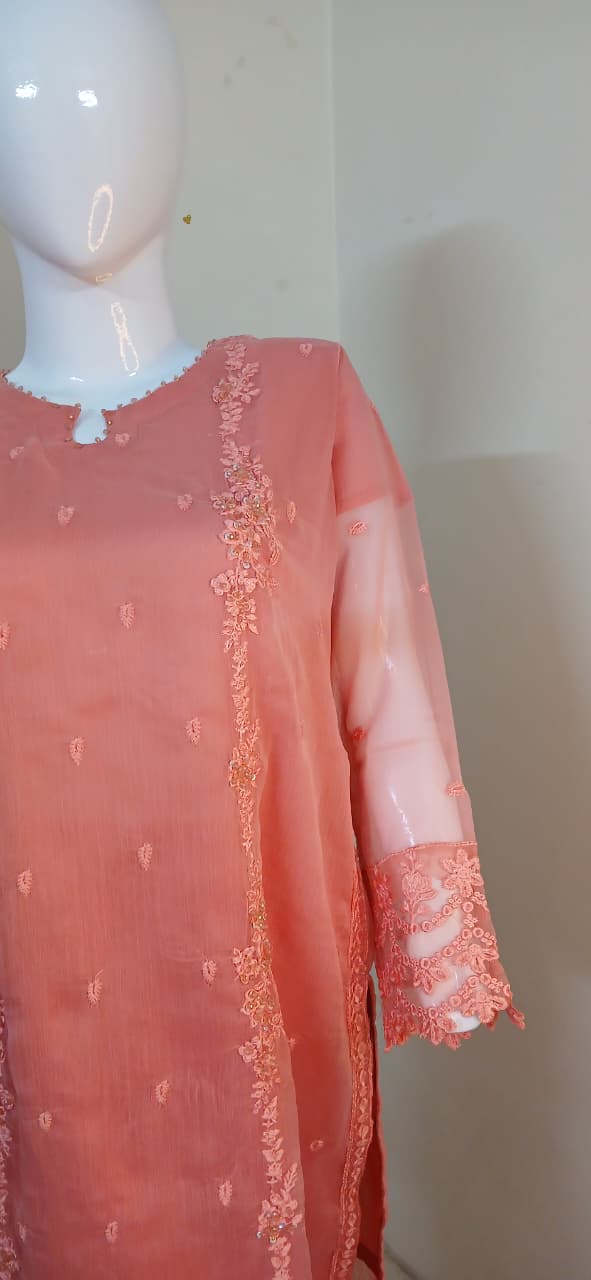 Self-Embroidered Chiffon Stitched 3-Piece Suit (TSEP4)