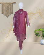 Self-Embroidered Chiffon Stitched 3-Piece Suit (TSEPI4)